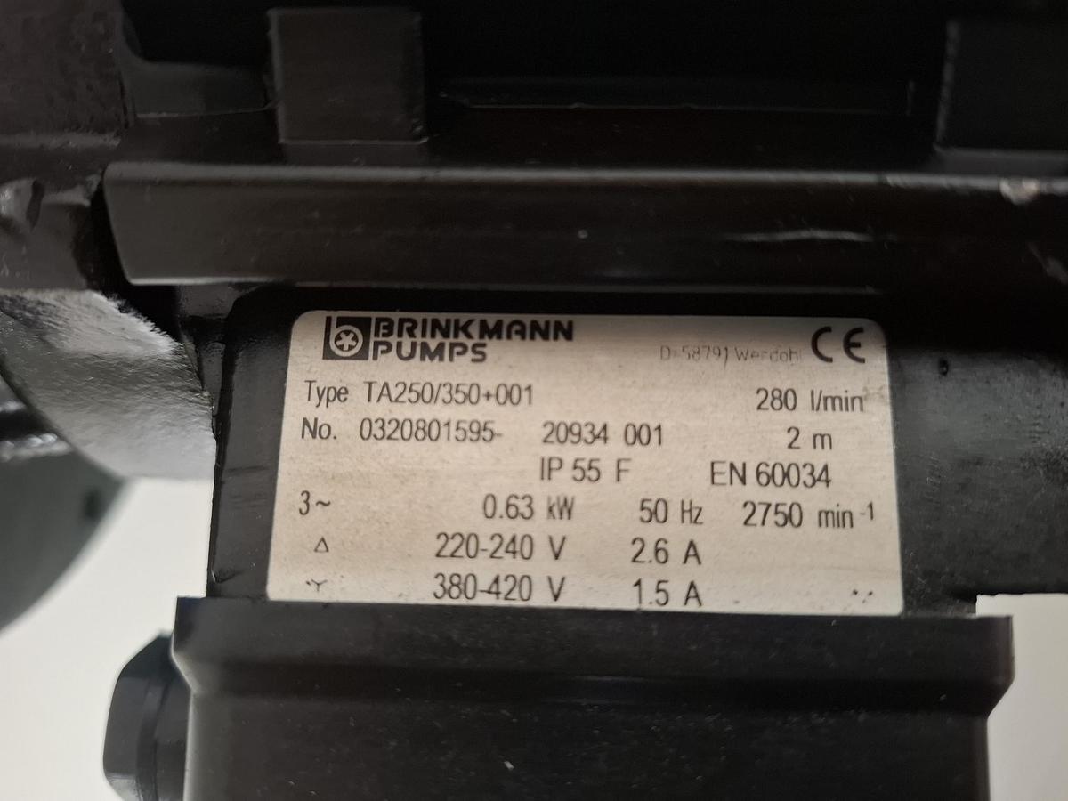 Eintauchpumpe, TA250/350+001, Brinkmann Pumps, neuwertig