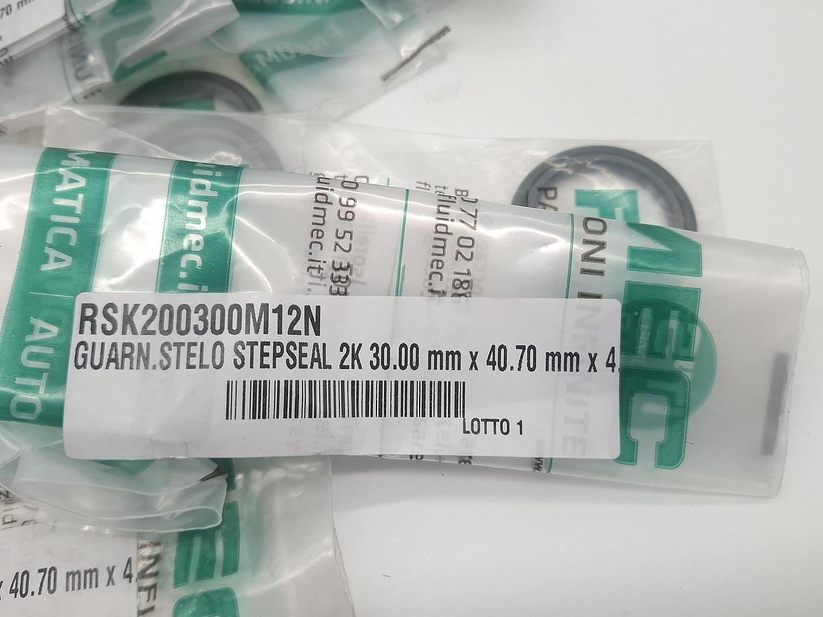 6 Stück Stangendichtung für d30mm,  30/40,7x4,2, RSK200300-M12N, Trelleborg, neu -50%