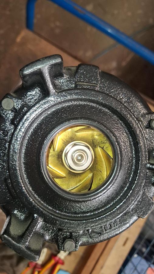 Eintauchpumpe, STA303/220+001, Brinkmann Pumps, neuwertig