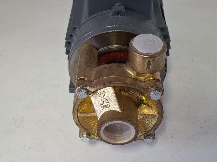 Normal saugende Kleinpumpe, 60m, 45L/min, CY-4081-0019, Speck Pumpen, neu