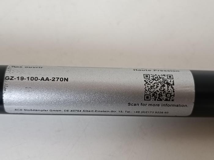 Gebraucht 2 Stück Industrie-Gaszugfeder inkl. Zubehör, GZ 19-100-AA-270N, ACE, gebraucht-Top