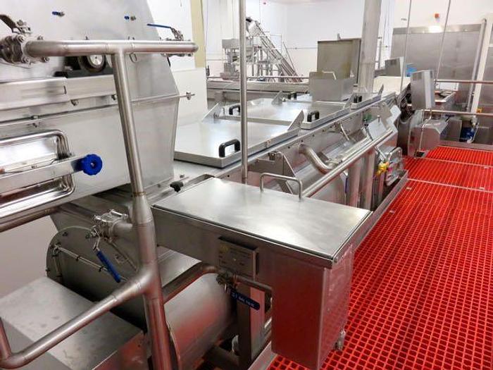 Used DUTCH TECSOURCE VEGETABLE WASHING AND STEAM BLANCHING LINE