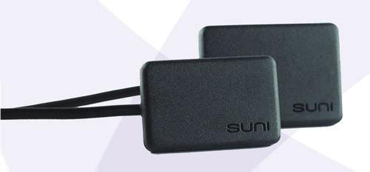 suni-suniray2.jpg