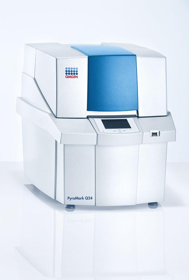 qiagen-pyromark-q24.jpg