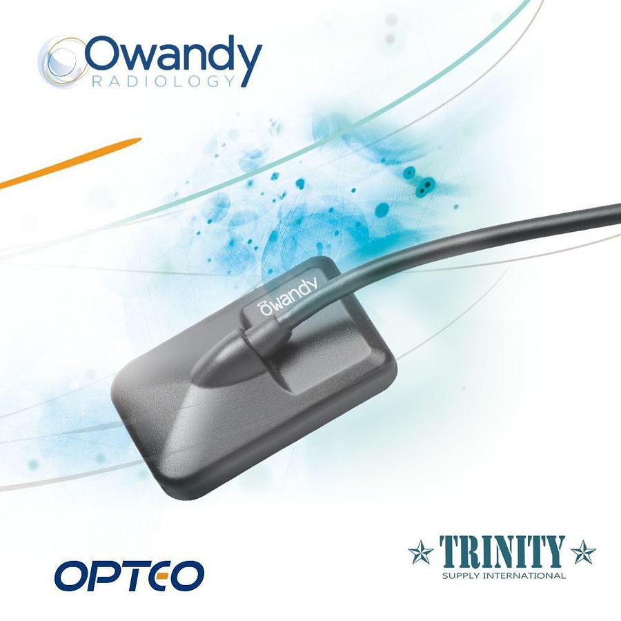 owandy-dixi3.jpg