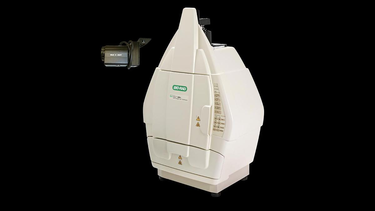 bio-rad-gel-doc-xr.png