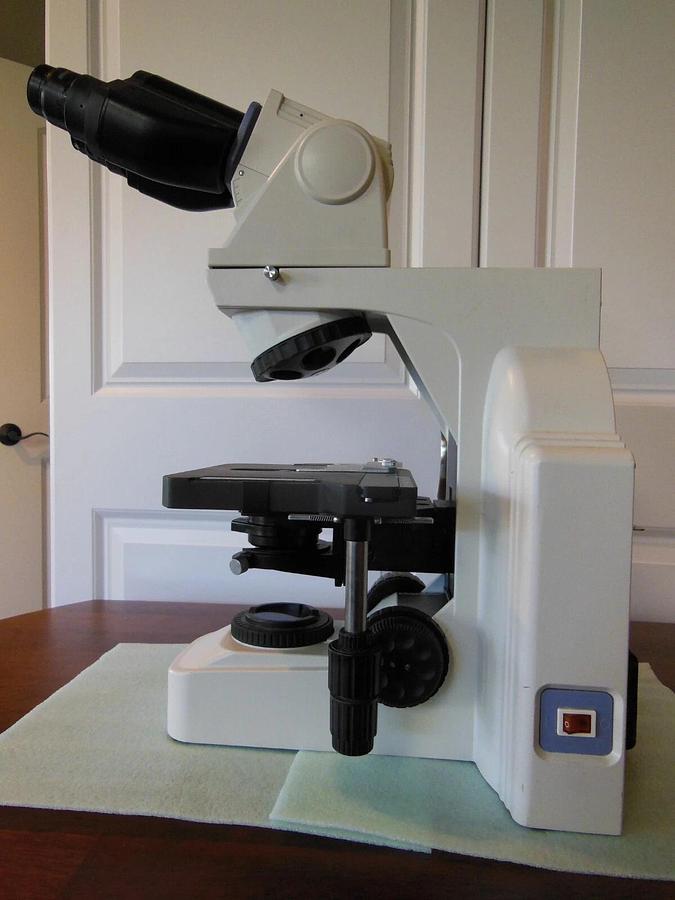 Used Nikon Eclipse E400 Ergo Binocular Microscope with 4X/10X/40X Objectives + Warran