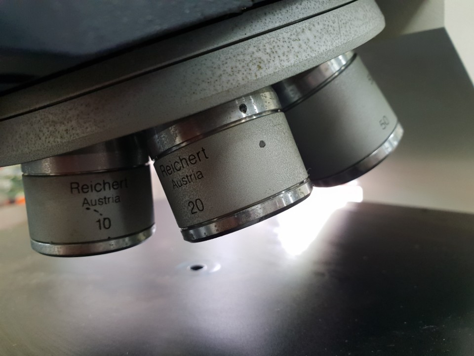 Used Leica Reichert-Tic Polycon Microscope