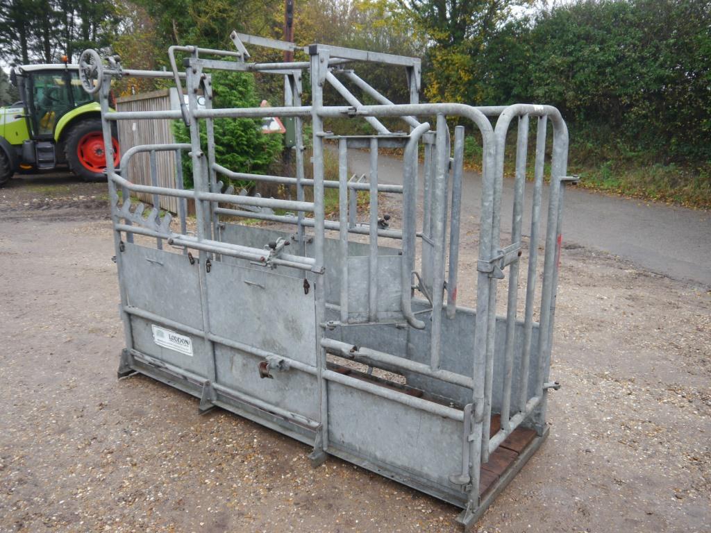 Used Loddon Cattle Crush