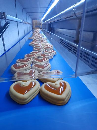 Used 2016 Selmi Cooling Tunnel