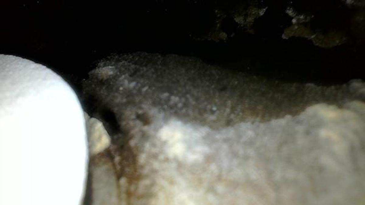 Used CAT 3508-SITA, SN: 9TG00160