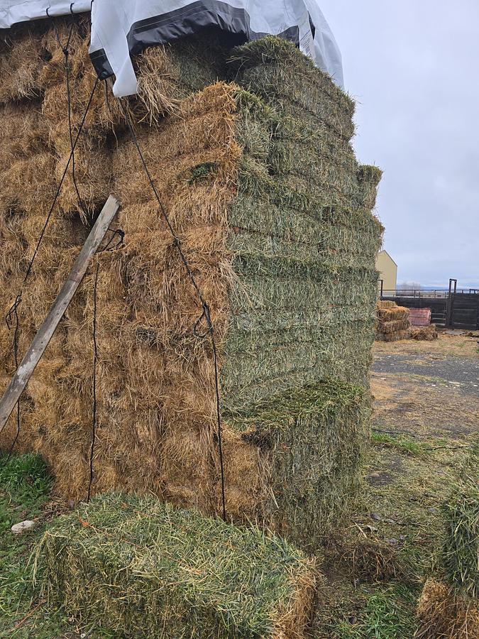 Used 1987 John Deere 337 Baler