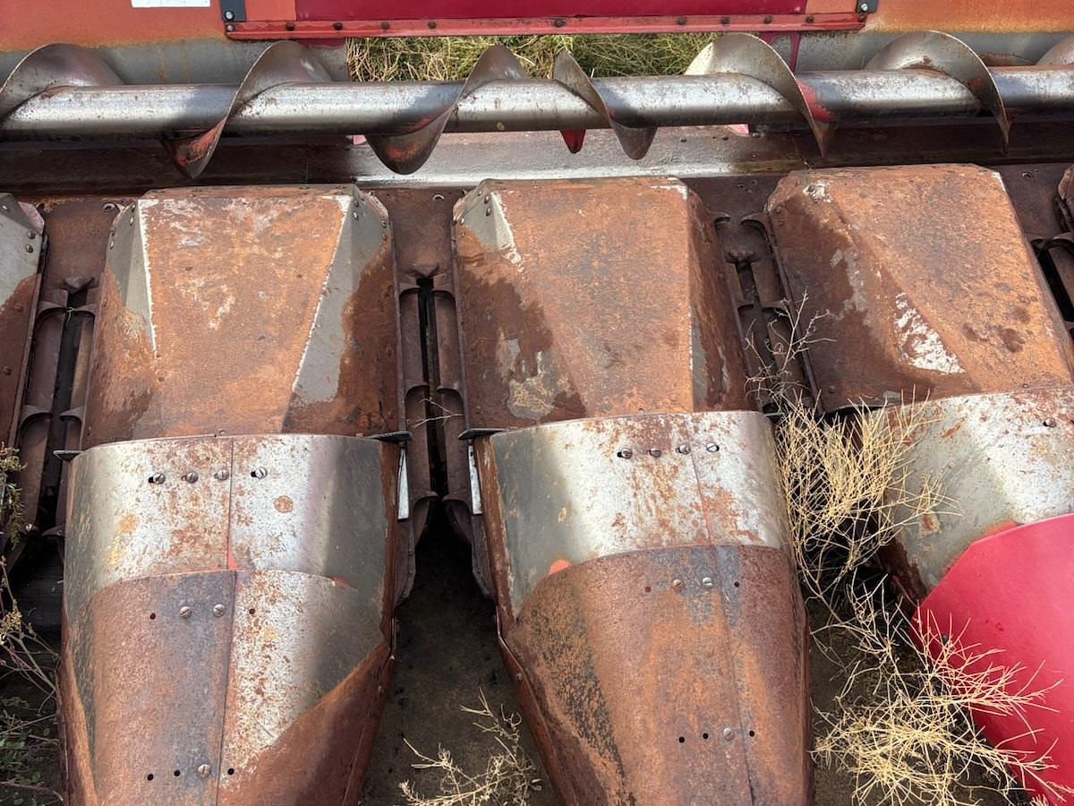 Used Case 1083 Corn Header - 8R30