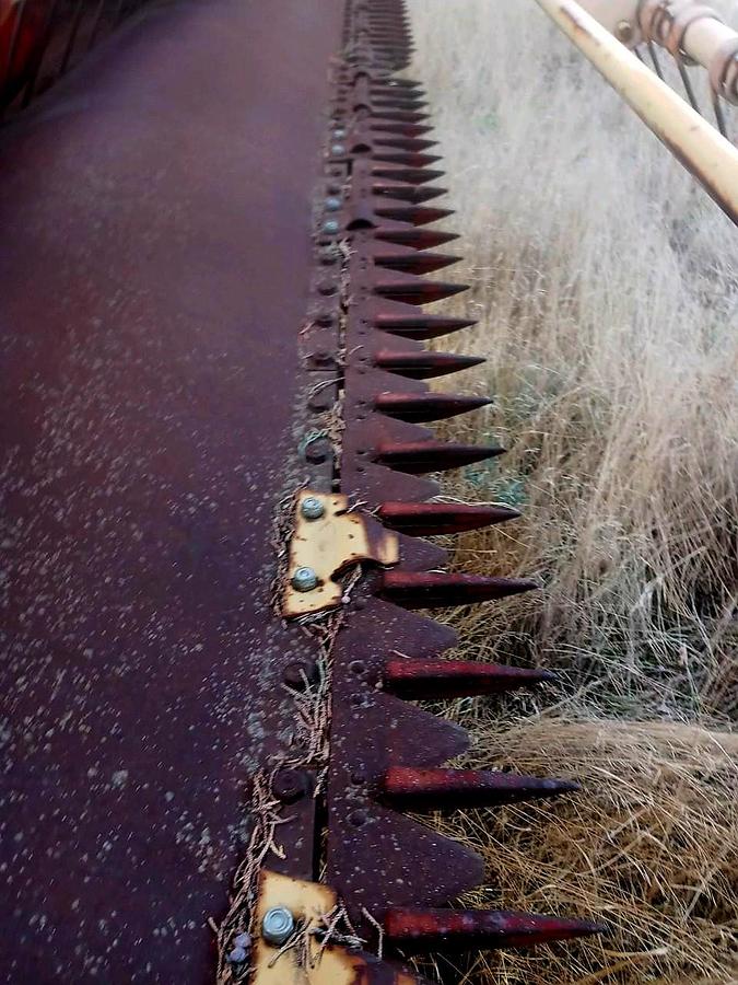 Used 14' New Holland 114 Pivot Tongue Windrower