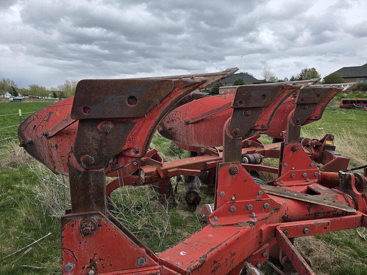 Used Massey Ferguson 570 Plow - 4 Bottom