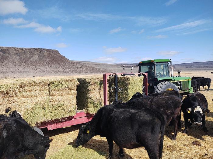 Used 2008 Robbco 7 Bale Feeder Flaker