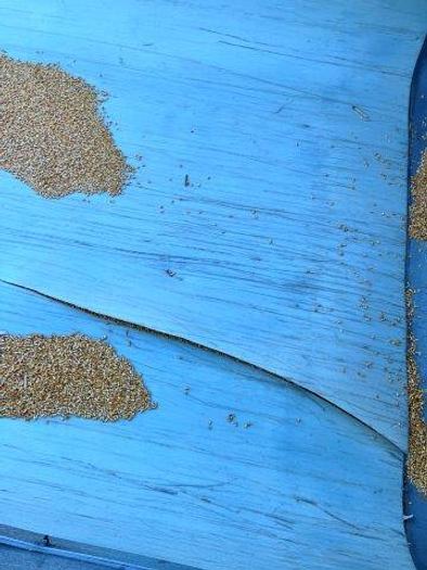 Used 1995 Fruehauf 40' End Dump