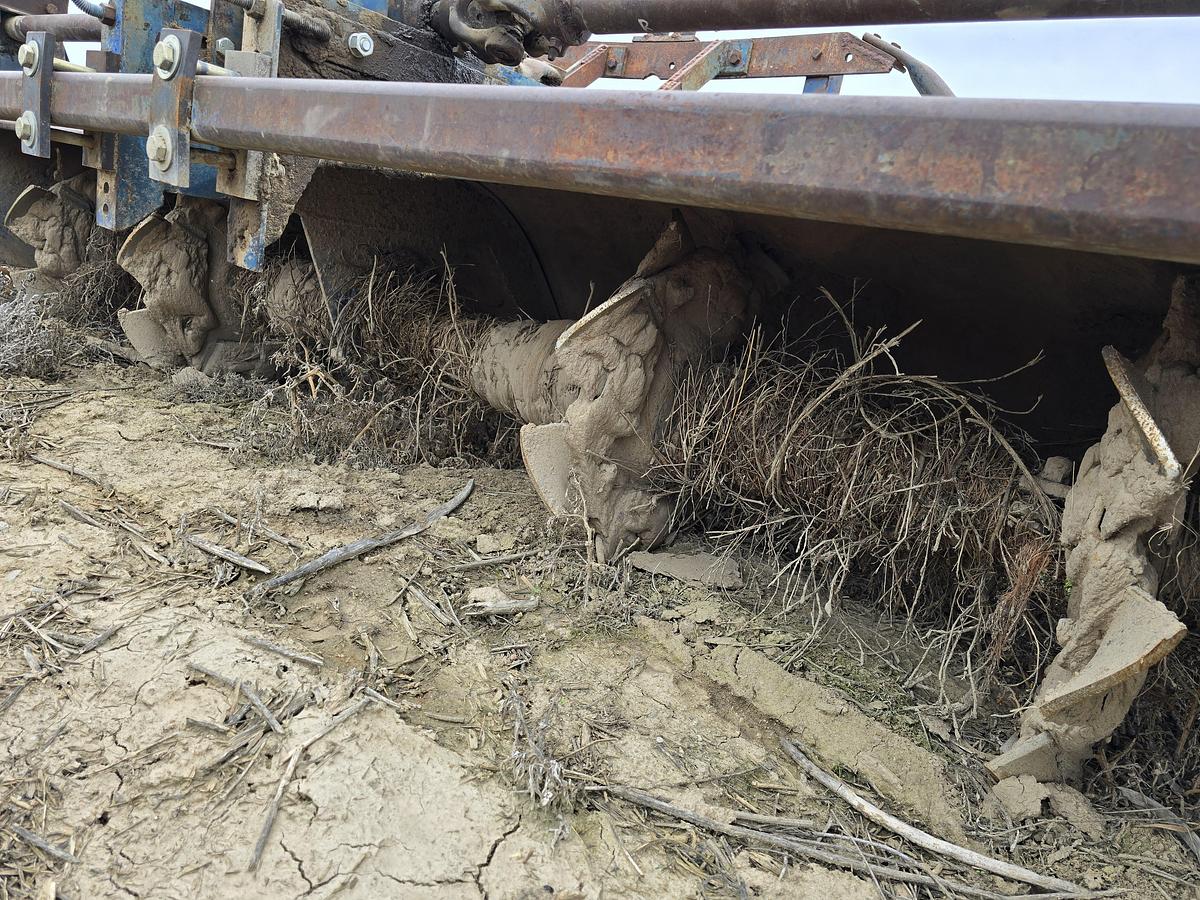 Used Rotary Corrugator