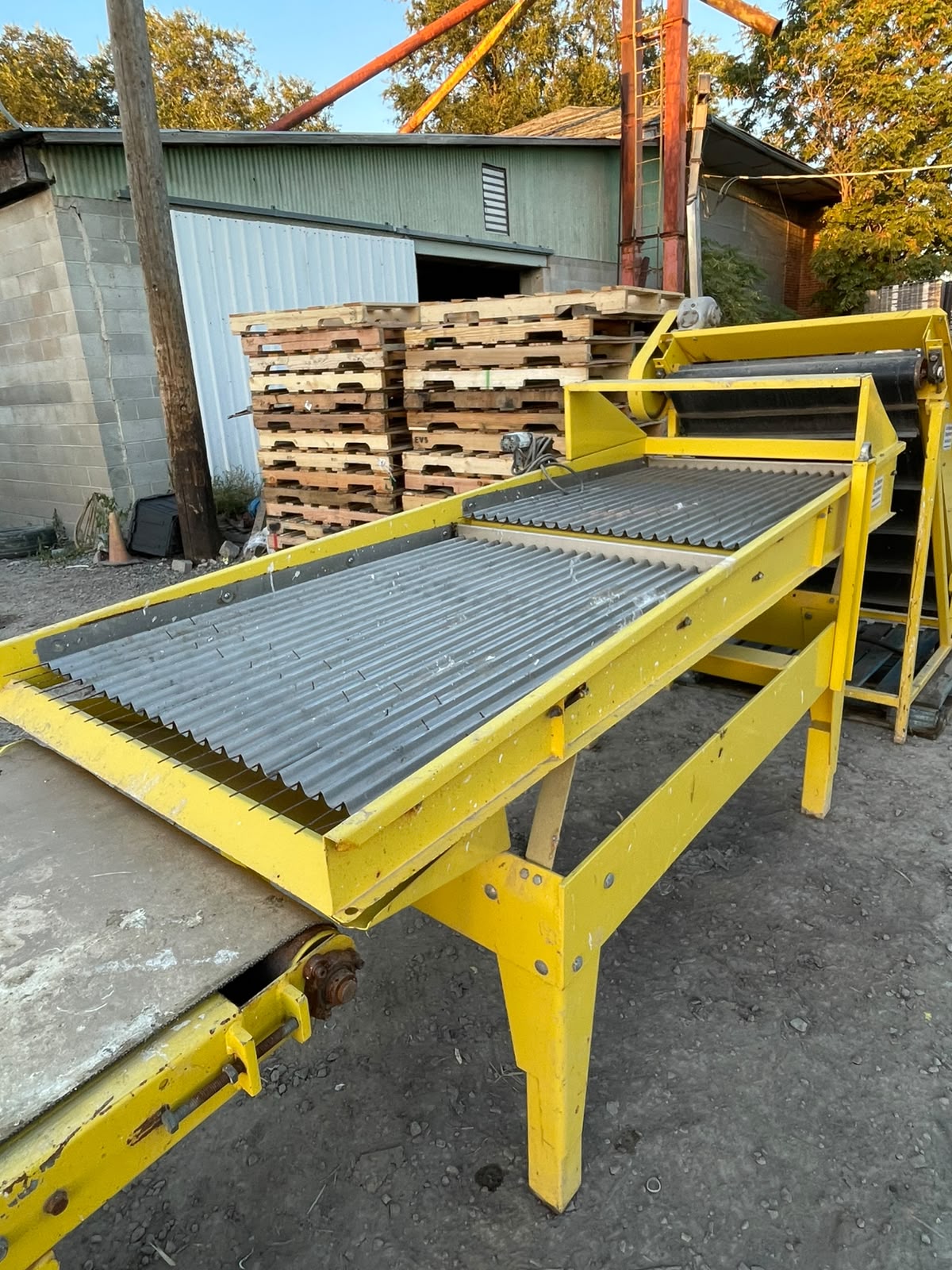 Used Pixall Fresh Market Green Beans Sorting Line
