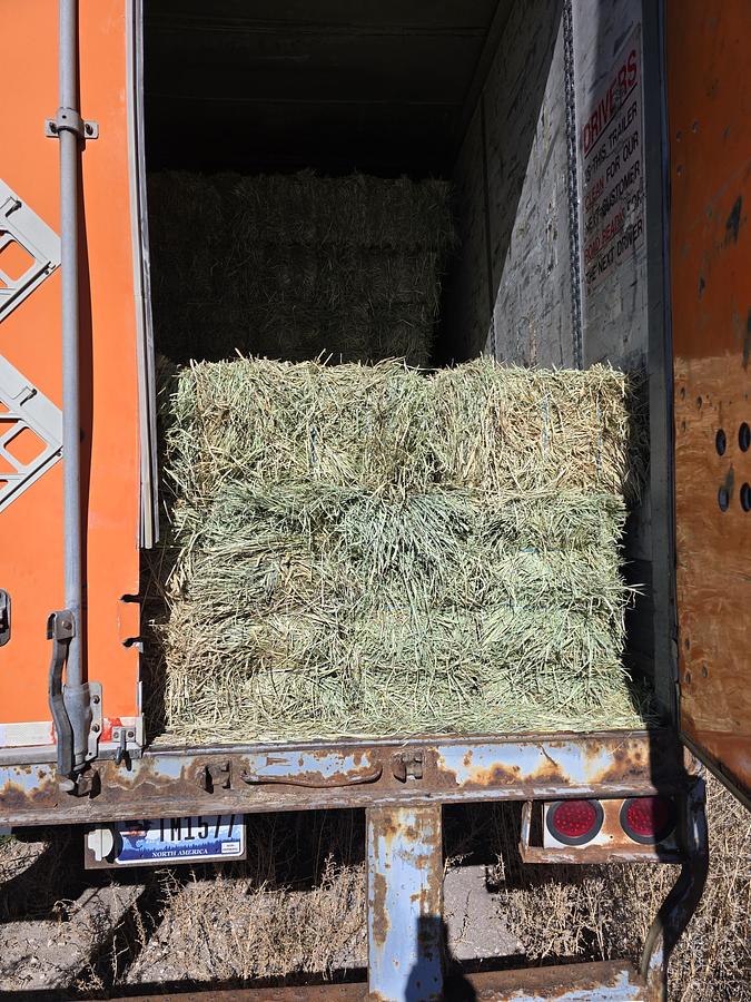 Used 53' Wabash Dry Van Trailer