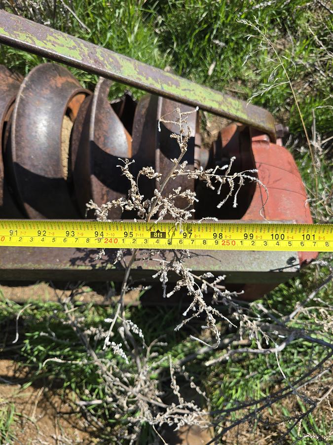 Used 8' Packer