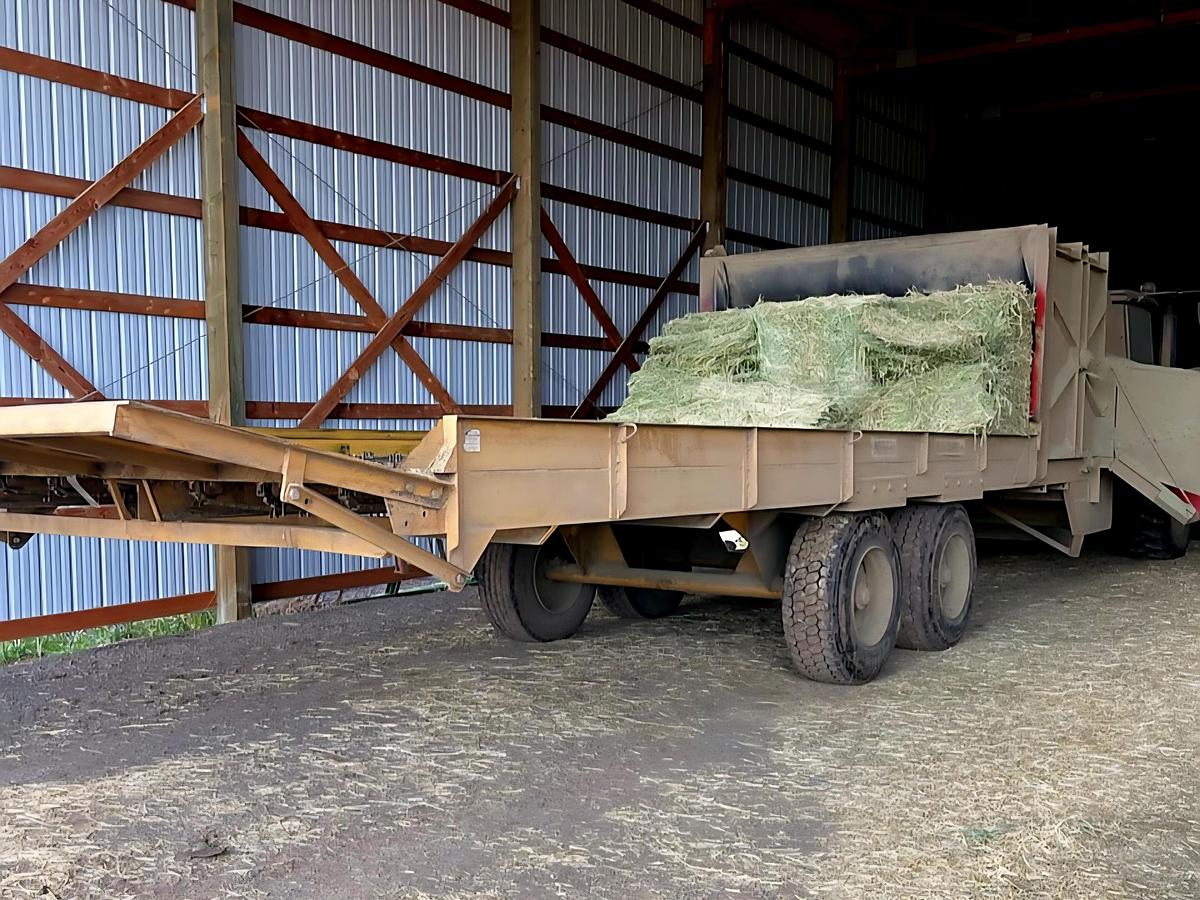 Used Newhouse C5000 Bale Feeder / Processor