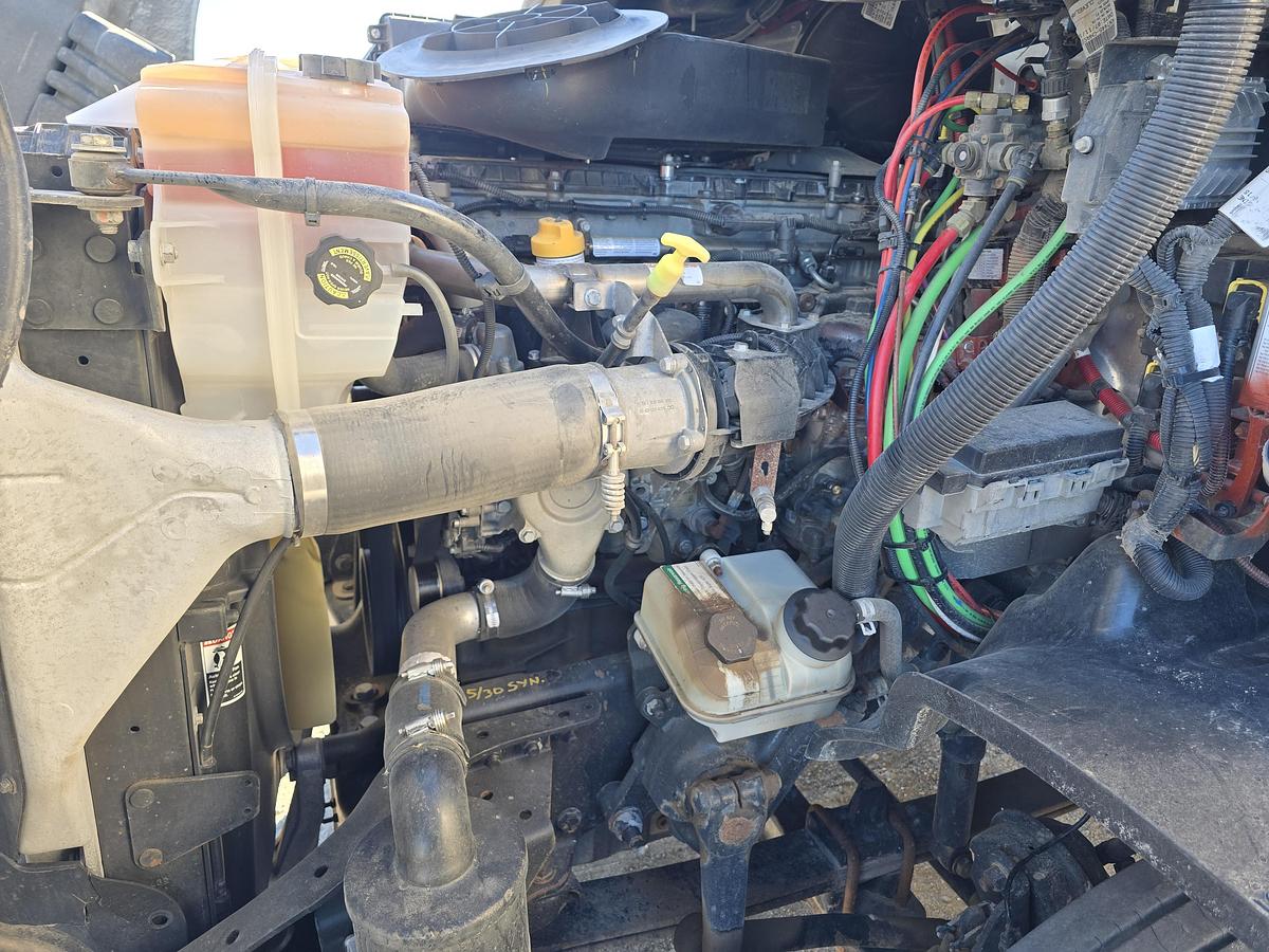 Used 2019 Freightliner Cascadia 113 Truck