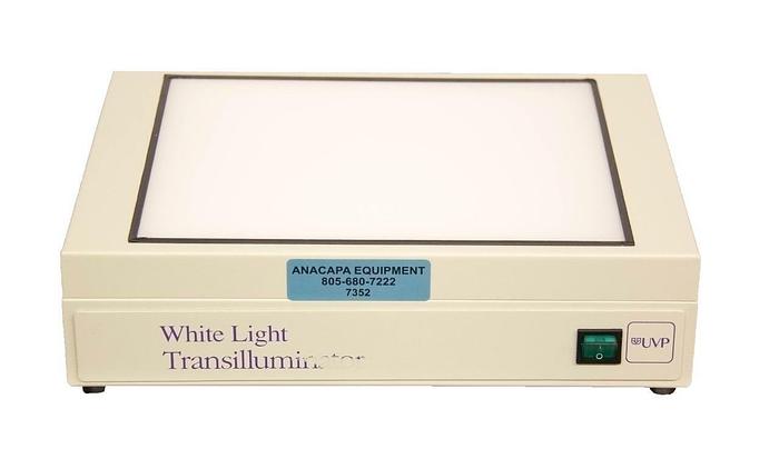 Used UVP 95-0208-01 White Light Transilluminator 8-Watt 21 x 26 cm 115 VAC (7352) R