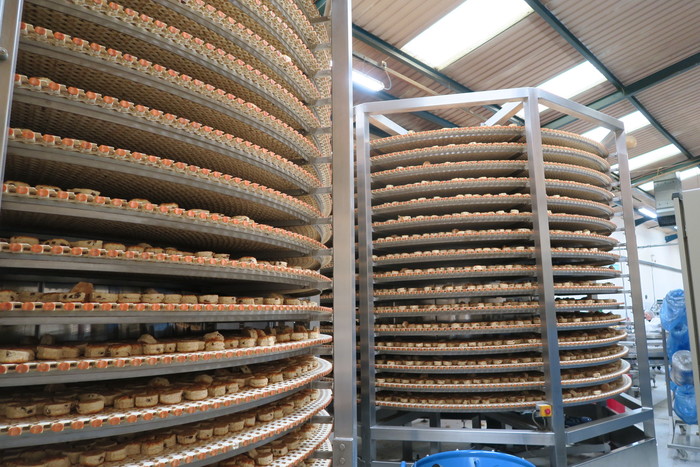 Used Twin Tower Ambient Spiral Cooler