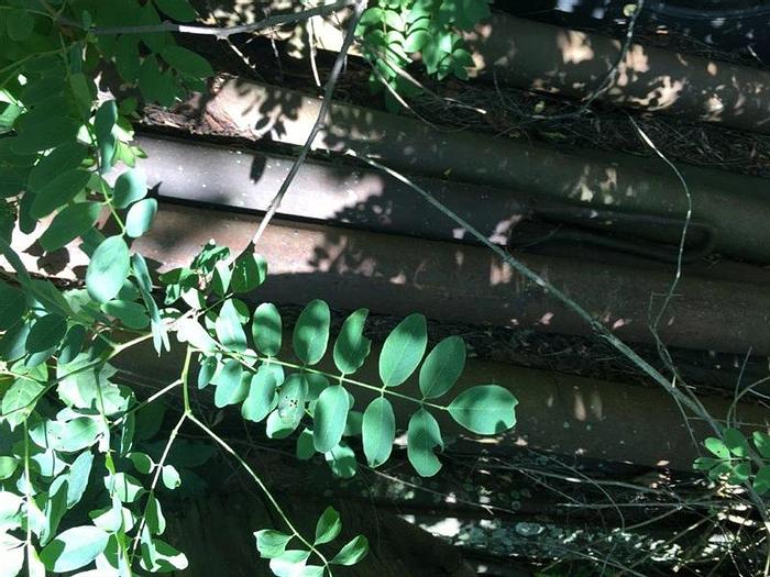 Used Tooling - Cable Tool Rig