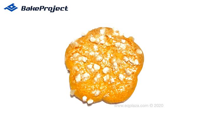 ROTOR LINE WKB-600 rotary molding line with conveyor and additional equipment