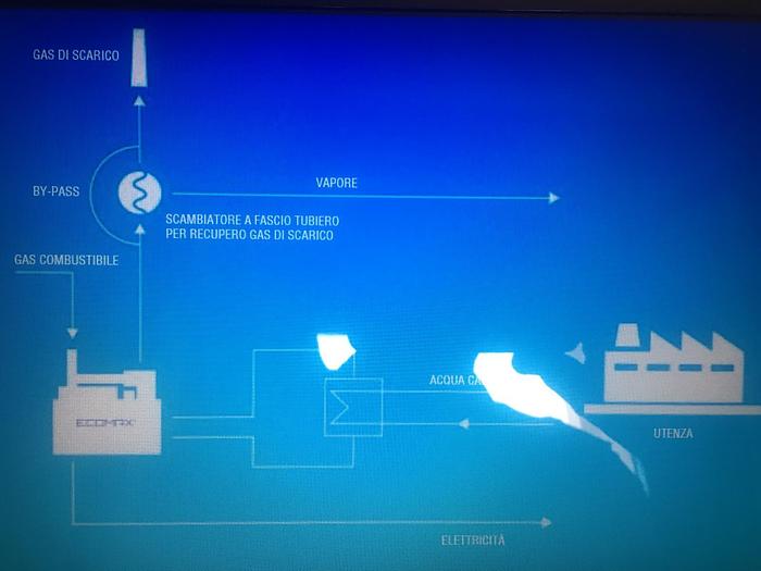 Used GENERATORS & COGENERATION PLANTS