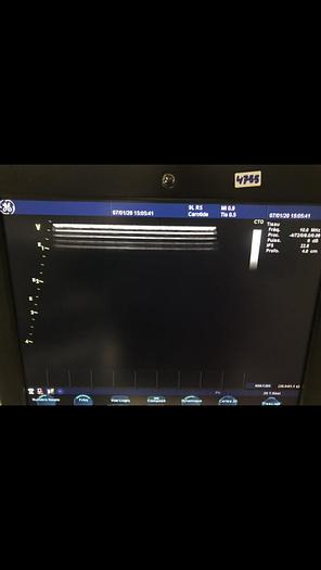 Used GE Vivid S6 Ultraschallsystem mit Flat Monitor, 2x Sonden