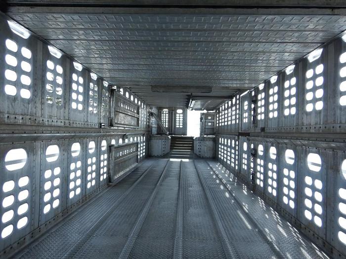 Used 2008 WILSON 52 FT - LIVESTOCK