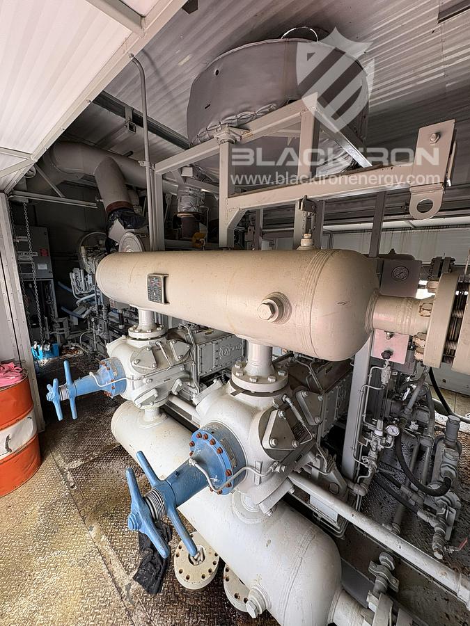 Used NOMAD Suction & Discharge Bottle