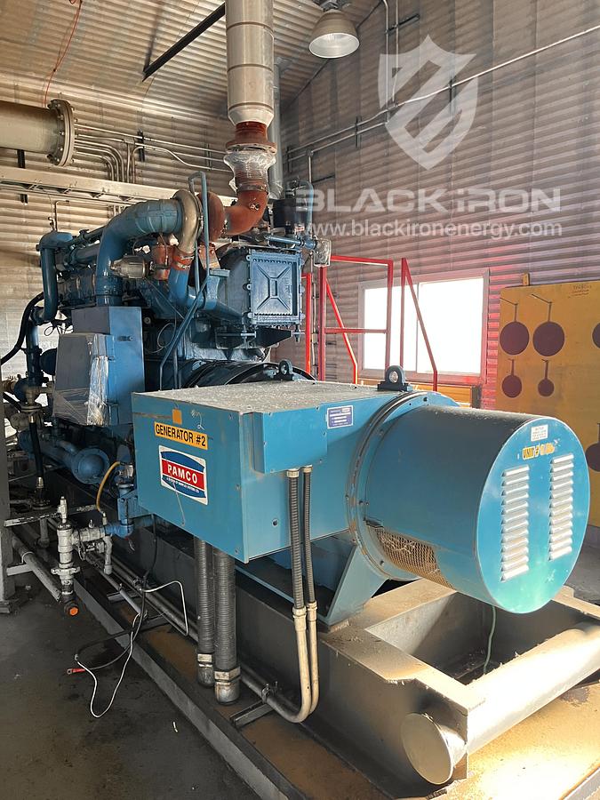 Used Waukesha F2895 GSIU