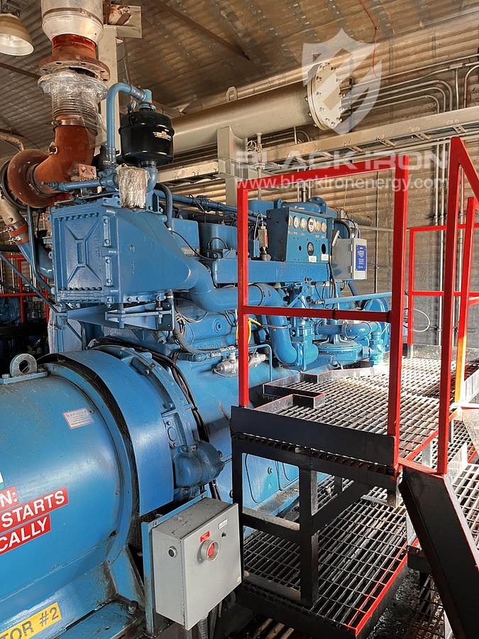 Used Waukesha F2895 GSIU