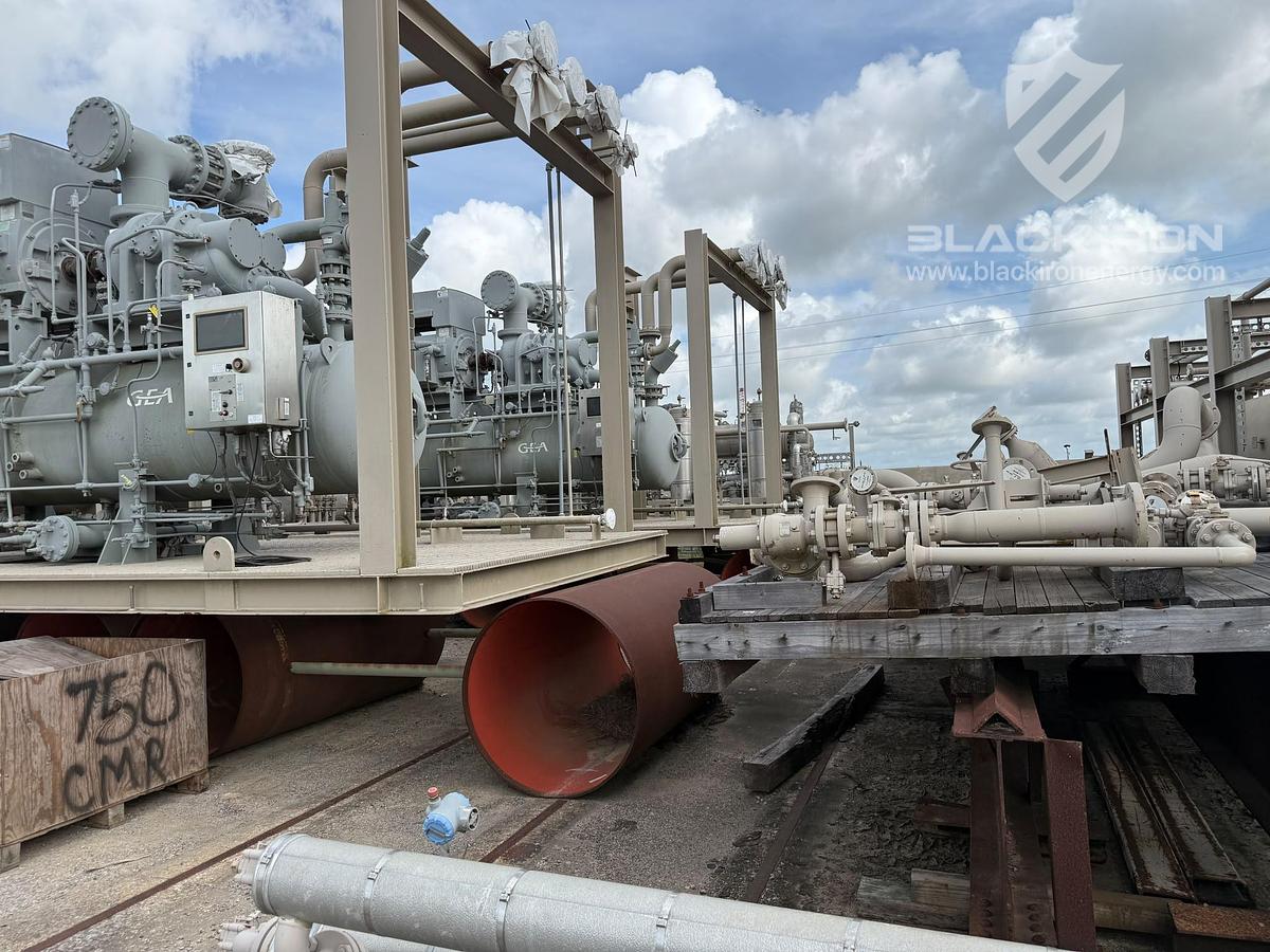 New Surplus 40 MMSCFD Cryogenic Plant