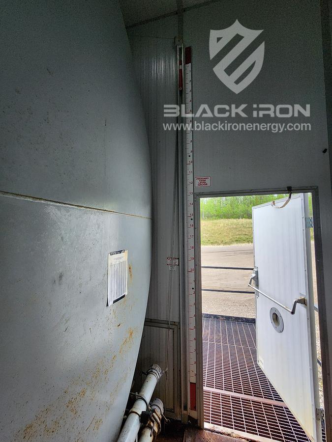 Used 2009 Separator Skid (Excluding Coriolis Meter)