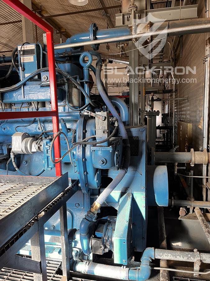 Used Waukesha F2895 GSIU