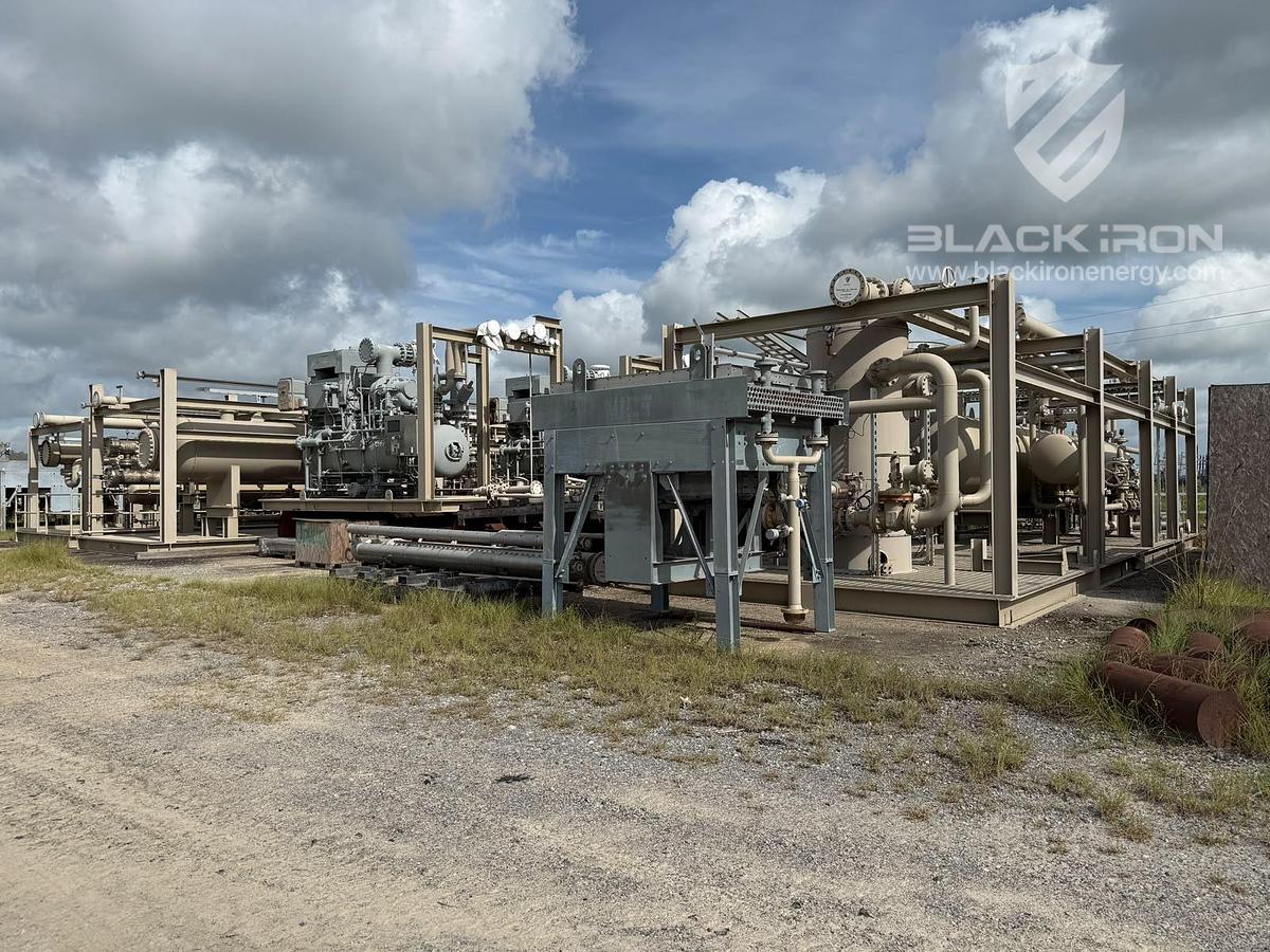 New Surplus 40 MMSCFD Cryogenic Plant