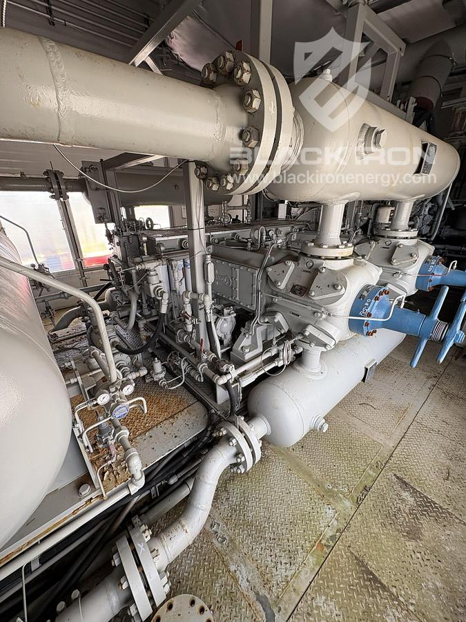 Used NOMAD Suction & Discharge Bottle