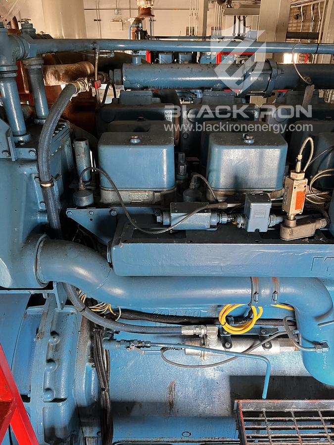 Used Waukesha F2895 GSIU