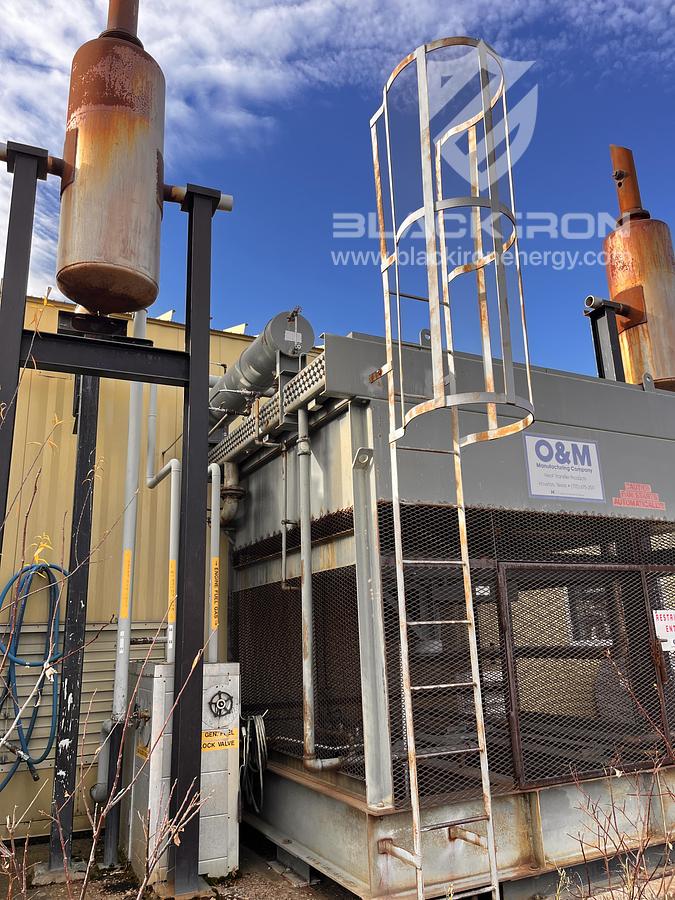 Used Waukesha F2895 GSIU