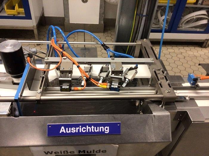 Gebraucht Horizontal-Schlauchbeutelpackmaschine THEEGARTEN-PACTEC Type FPC5-280, Baujahr: 2013.