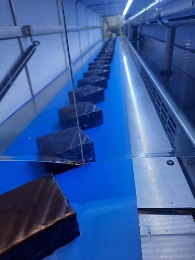 Used 2016 Selmi Cooling Tunnel