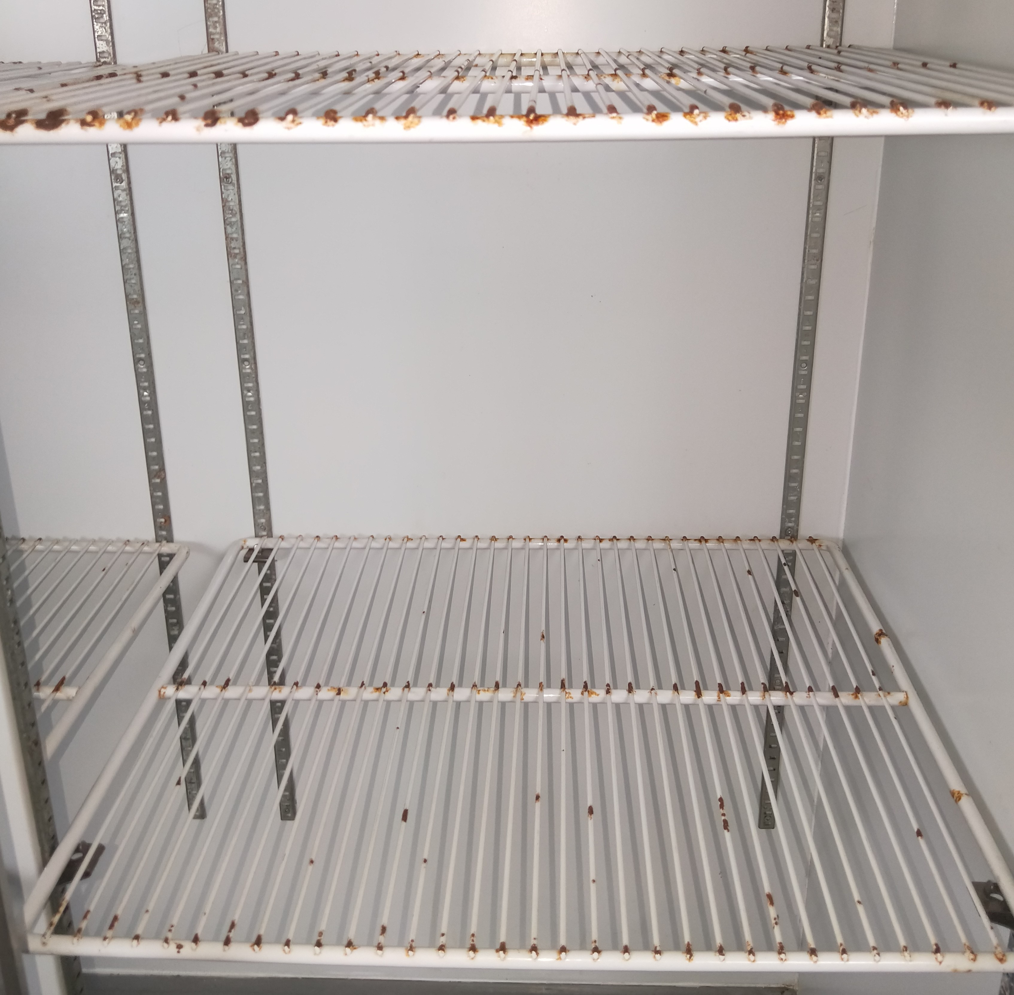 Used VWR 2-Door Refrigerator