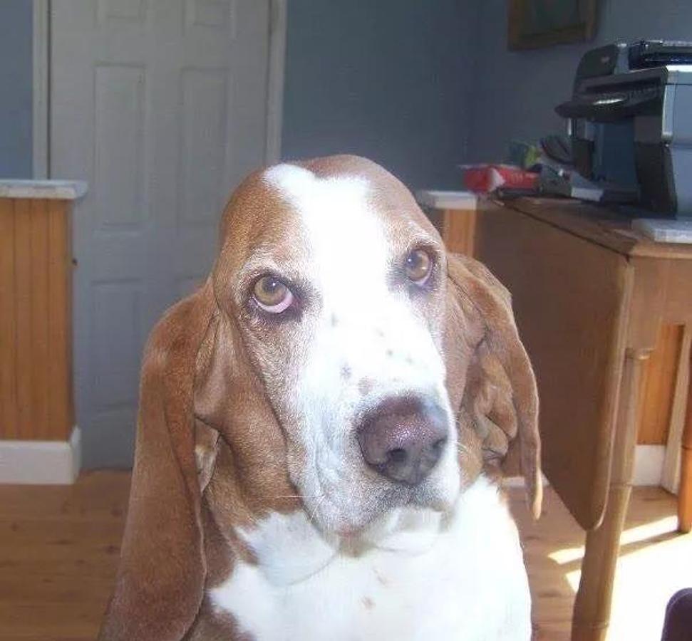 Used 150 Gallon Deep Cone Stainless Steel Tank On Legs Mfg By Arrow Processing Equip