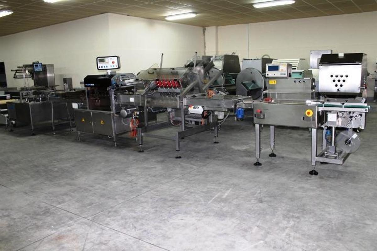 Used Module CARROUSEL VULLER, SEALPAC 500, Module MEGA PACK, Module DIGI