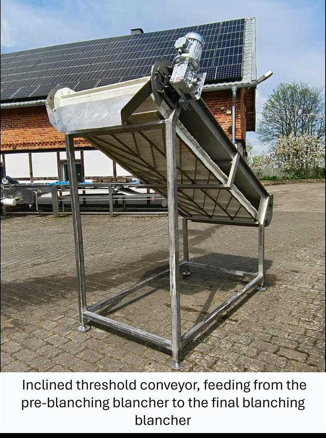 Used Linia do produkcji frytek o wydajności do 5 t/h surowca